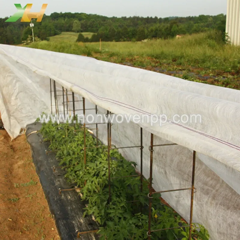 biodegradable non woven fabrics